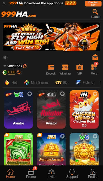 999HA Game Features Image